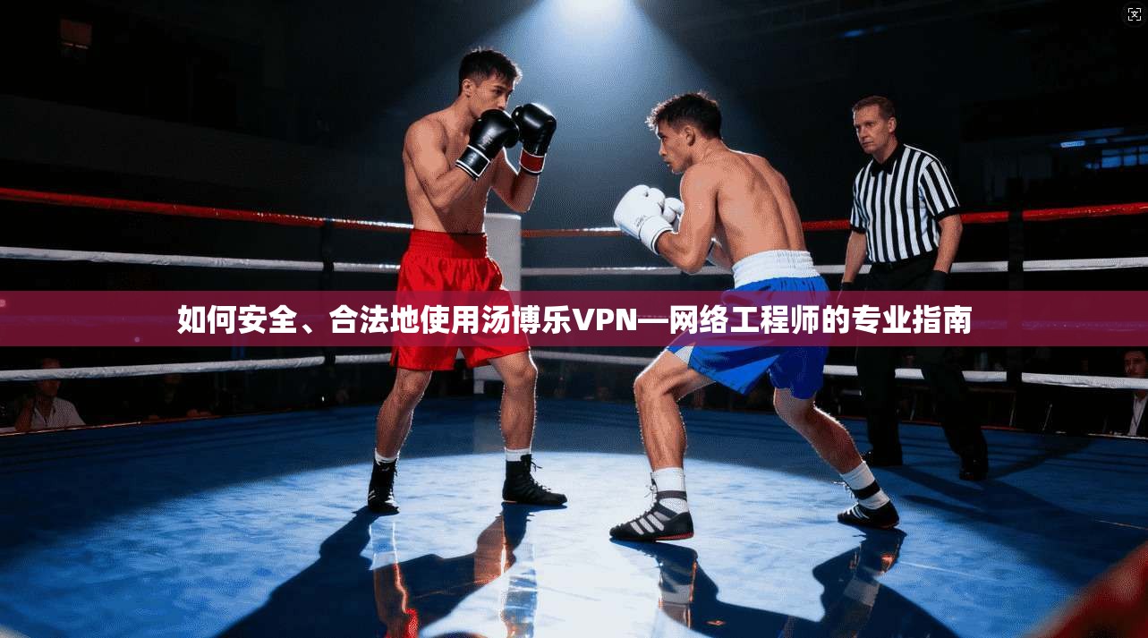 如何安全、合法地使用汤博乐VPN—网络工程师的专业指南