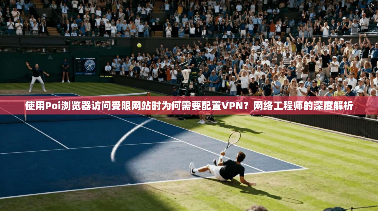 使用Poi浏览器访问受限网站时为何需要配置VPN？网络工程师的深度解析