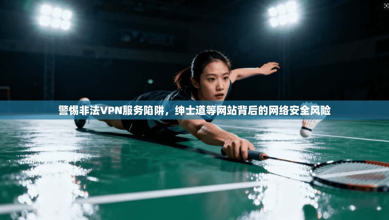 警惕非法VPN服务陷阱，绅士道等网站背后的网络安全风险
