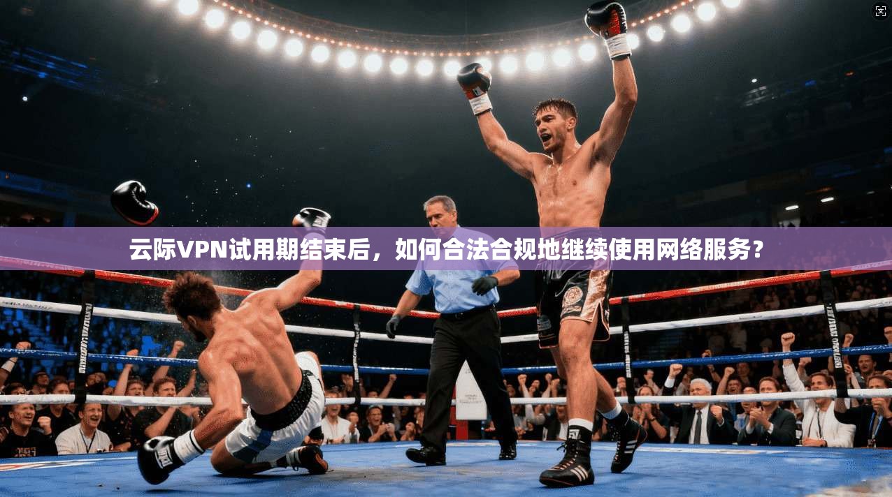 云际VPN试用期结束后，如何合法合规地继续使用网络服务？