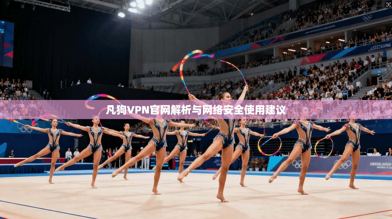 凡狗VPN官网解析与网络安全使用建议