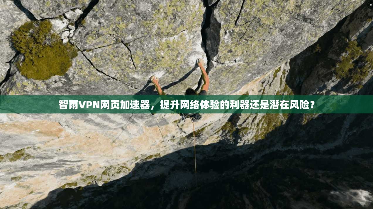 智雨VPN网页加速器，提升网络体验的利器还是潜在风险？