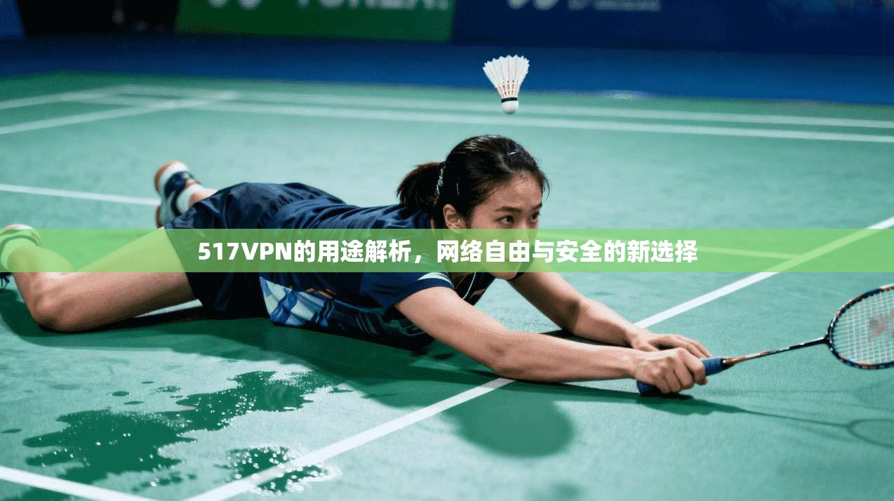 517VPN的用途解析，网络自由与安全的新选择