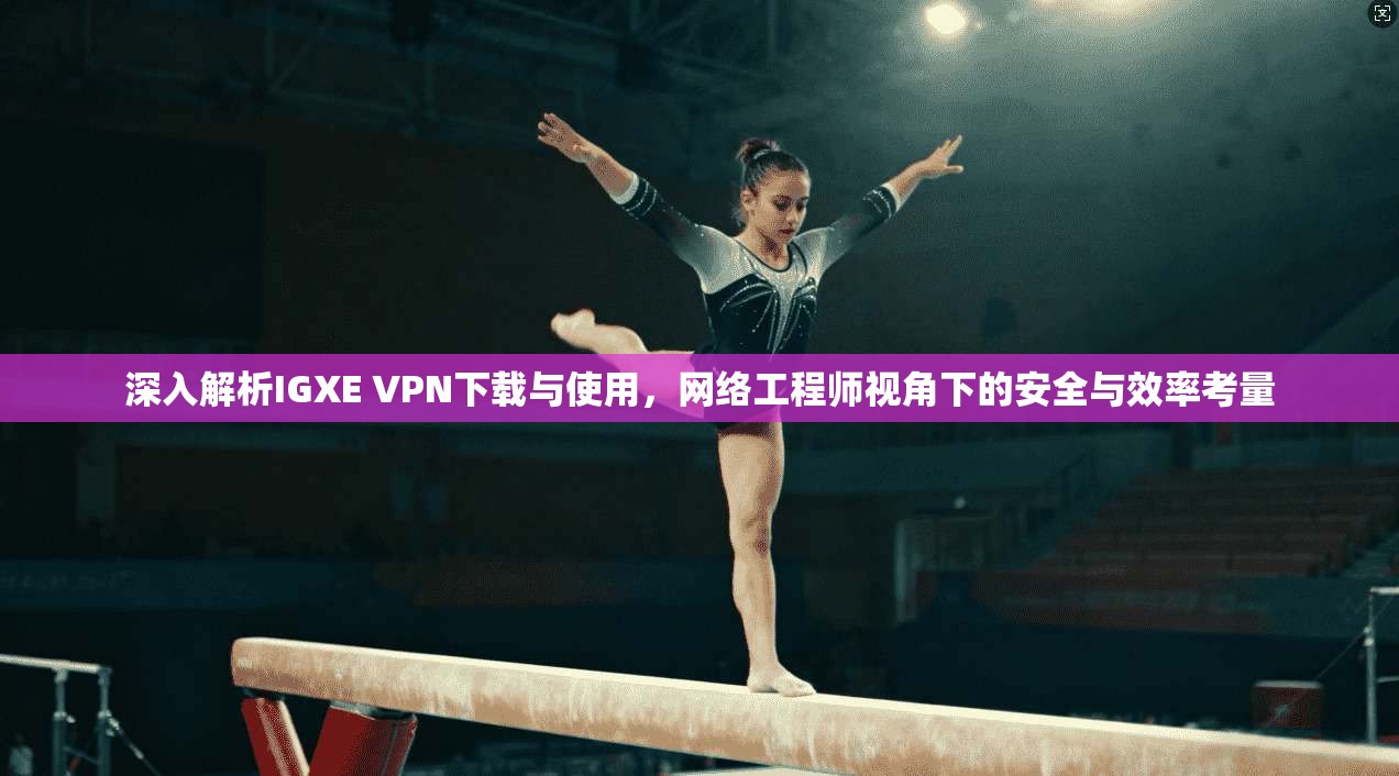 深入解析IGXE VPN下载与使用，网络工程师视角下的安全与效率考量