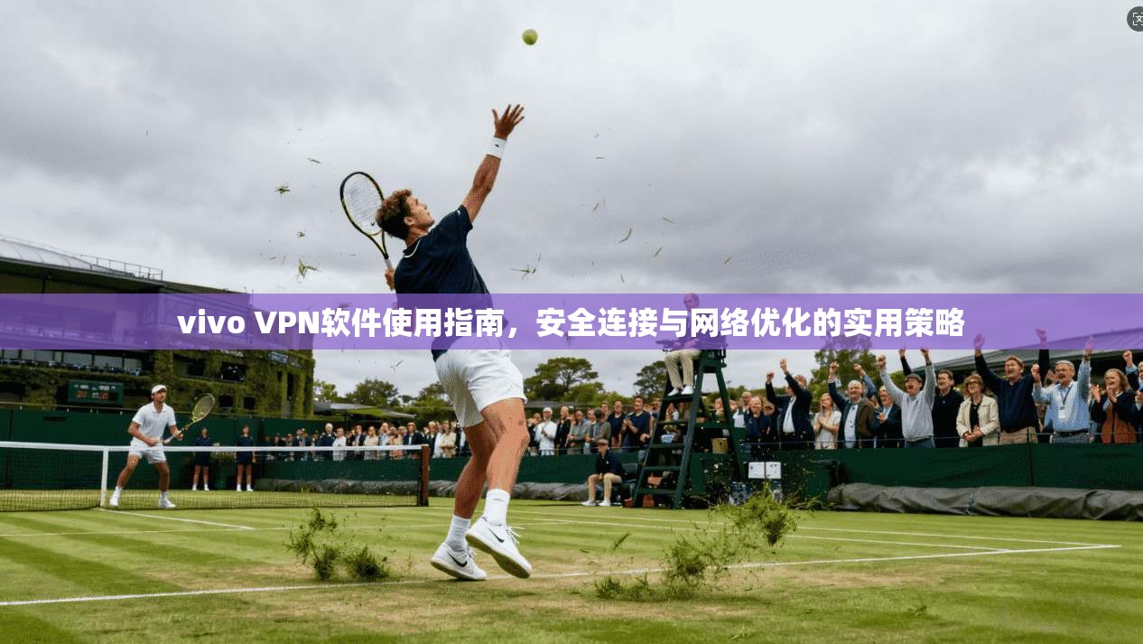 vivo VPN软件使用指南，安全连接与网络优化的实用策略