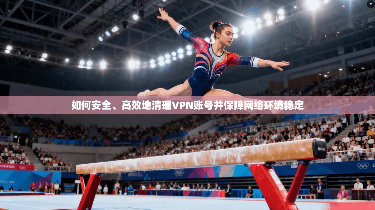 如何安全、高效地清理VPN账号并保障网络环境稳定