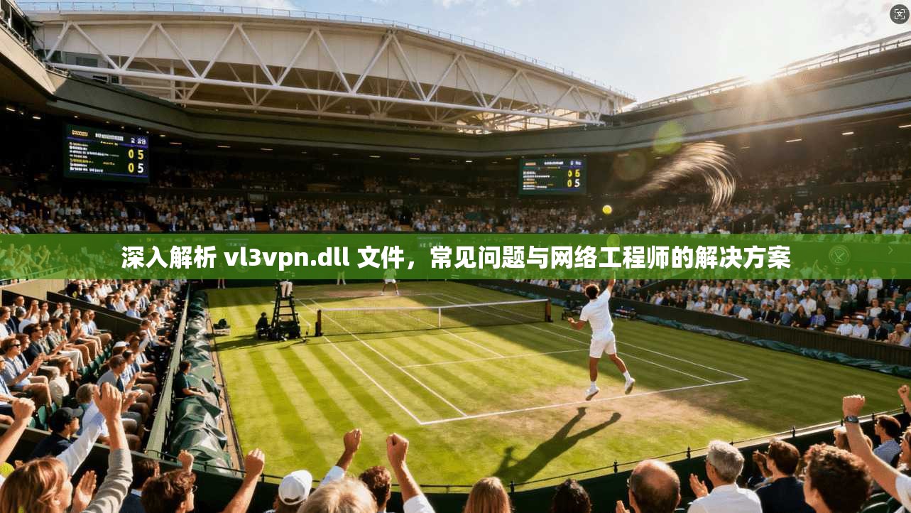 深入解析 vl3vpn.dll 文件，常见问题与网络工程师的解决方案