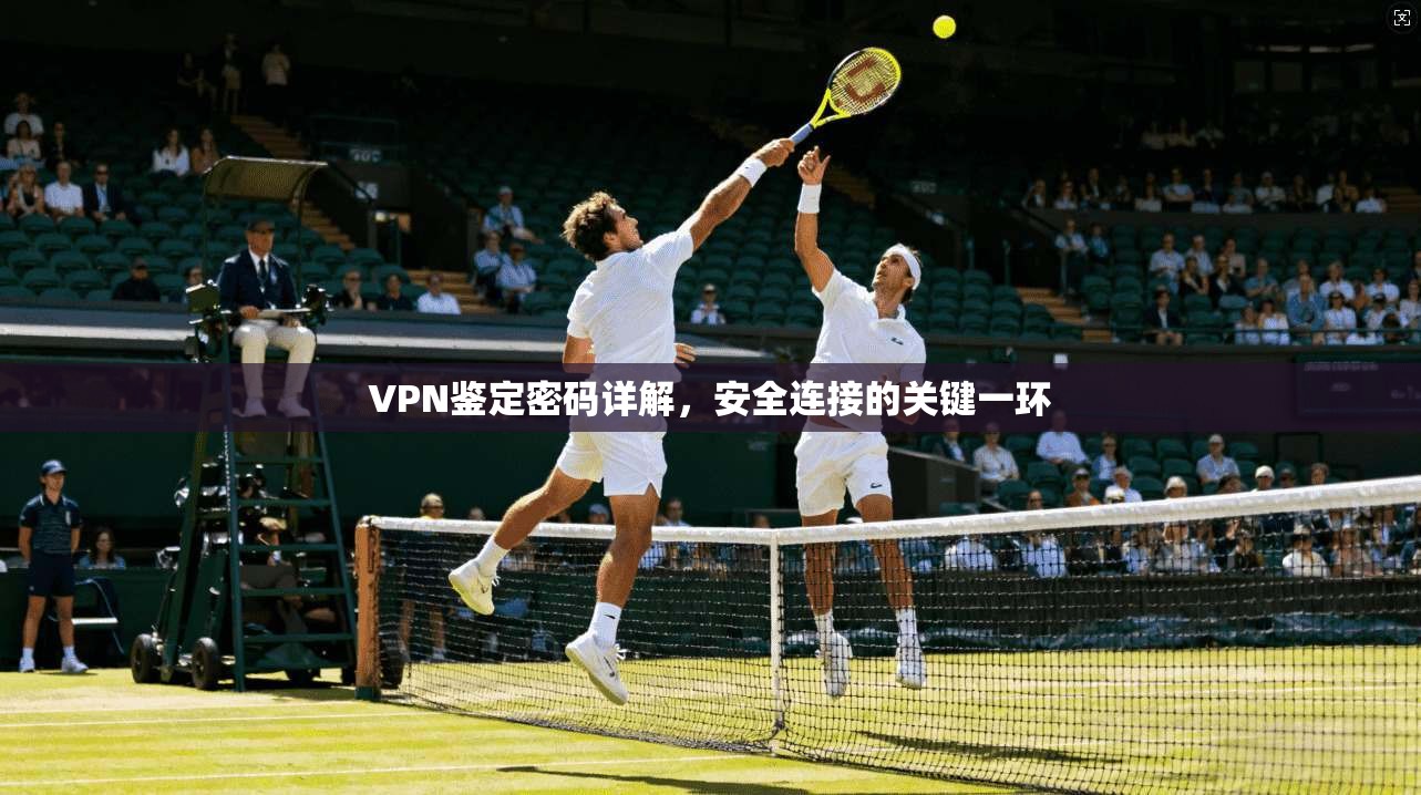 VPN鉴定密码详解，安全连接的关键一环