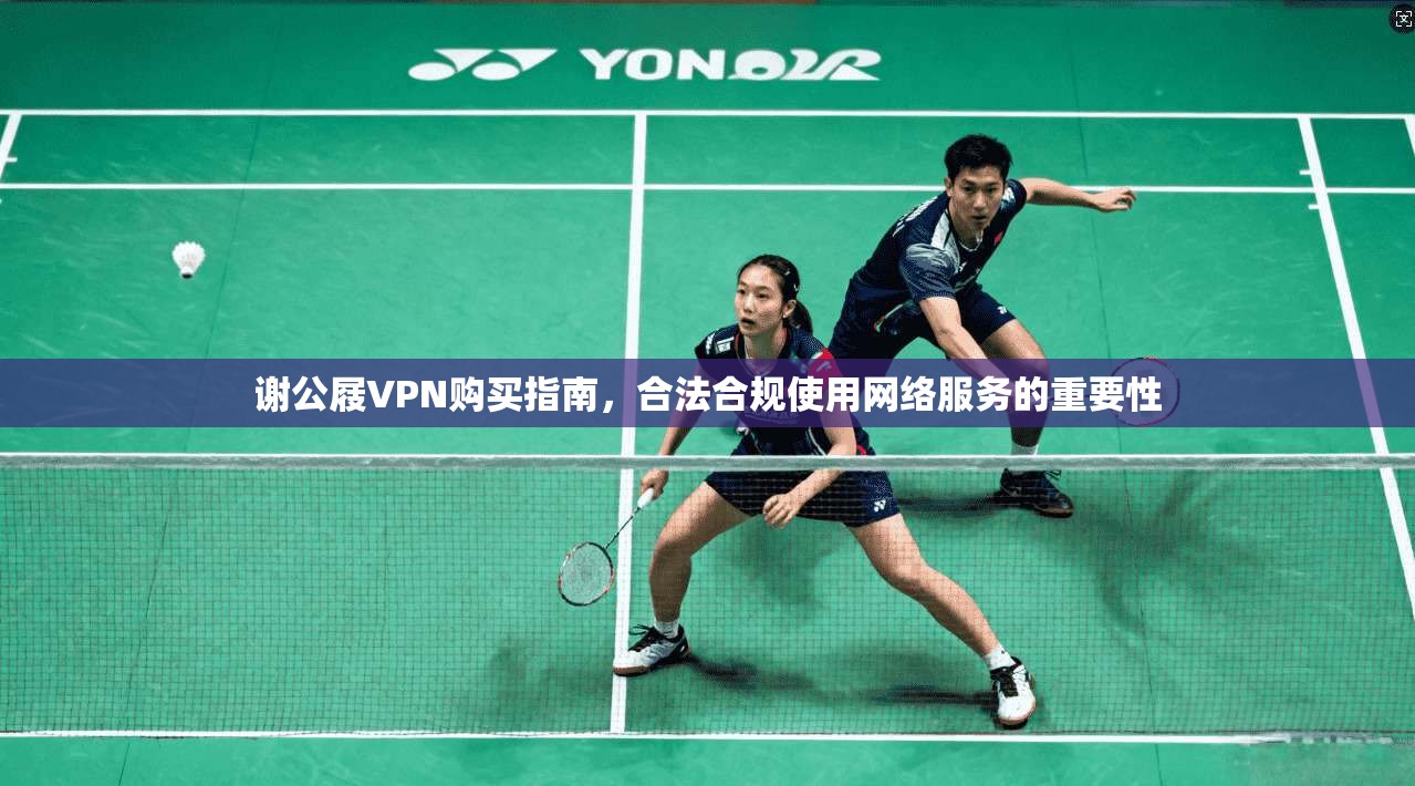 谢公屐VPN购买指南，合法合规使用网络服务的重要性
