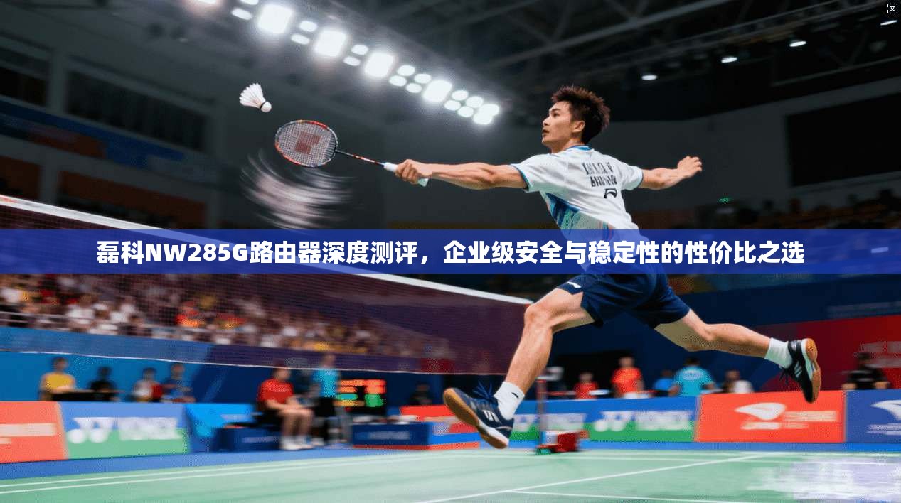 磊科NW285G路由器深度测评，企业级安全与稳定性的性价比之选