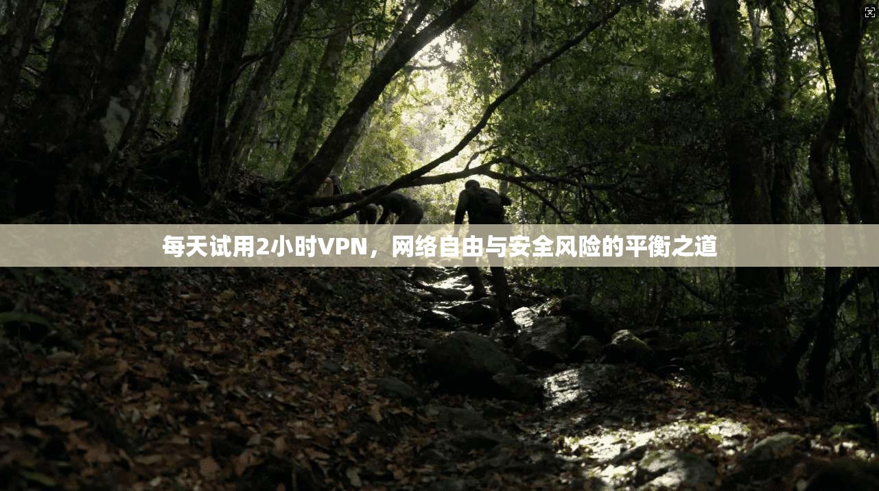每天试用2小时VPN，网络自由与安全风险的平衡之道