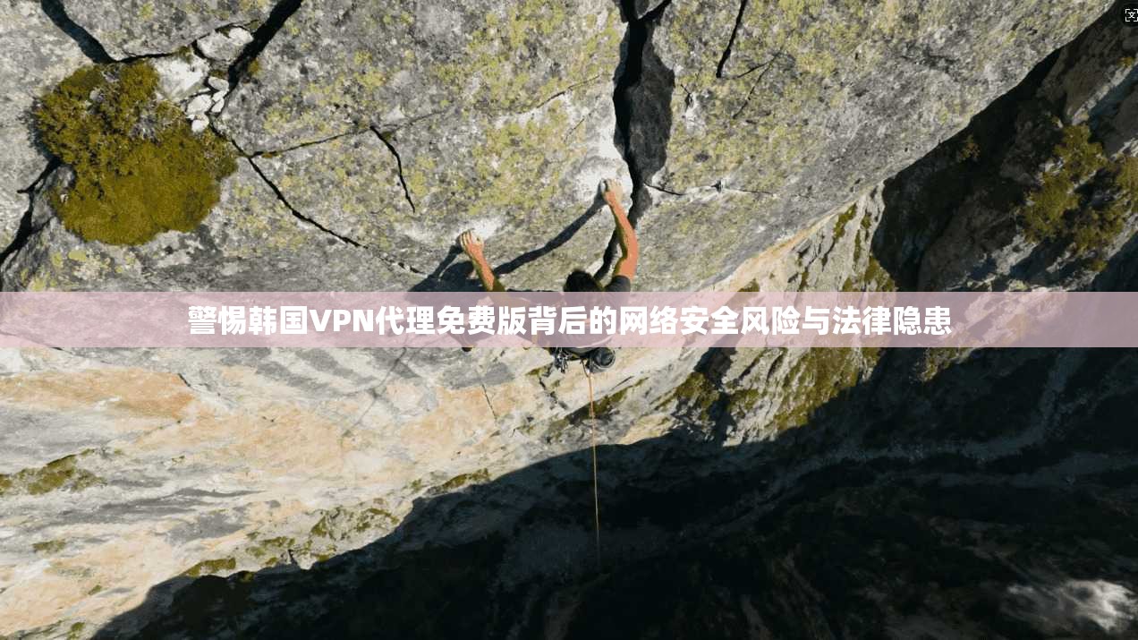 警惕韩国VPN代理免费版背后的网络安全风险与法律隐患