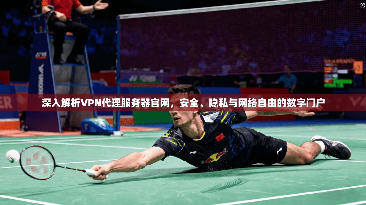 深入解析VPN代理服务器官网，安全、隐私与网络自由的数字门户
