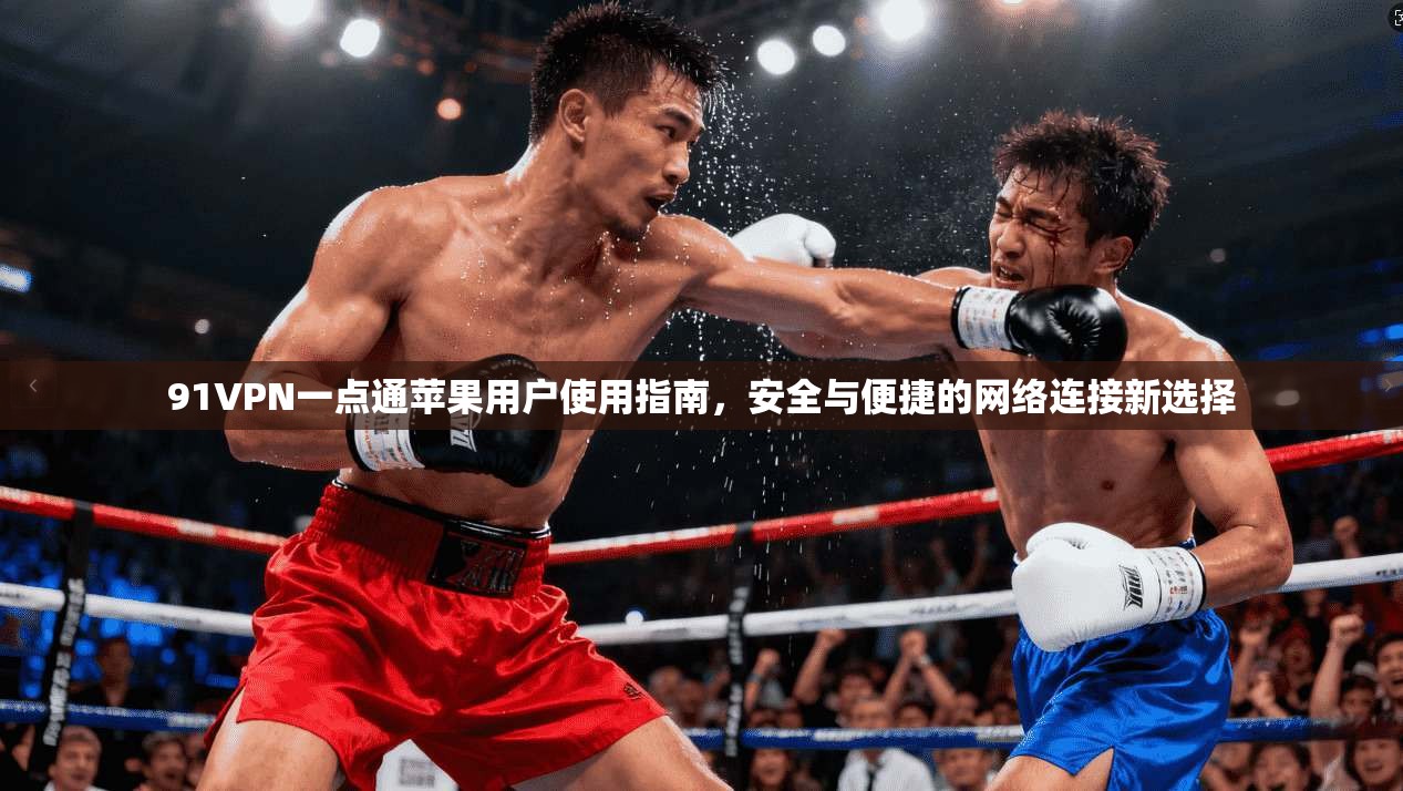 91VPN一点通苹果用户使用指南，安全与便捷的网络连接新选择