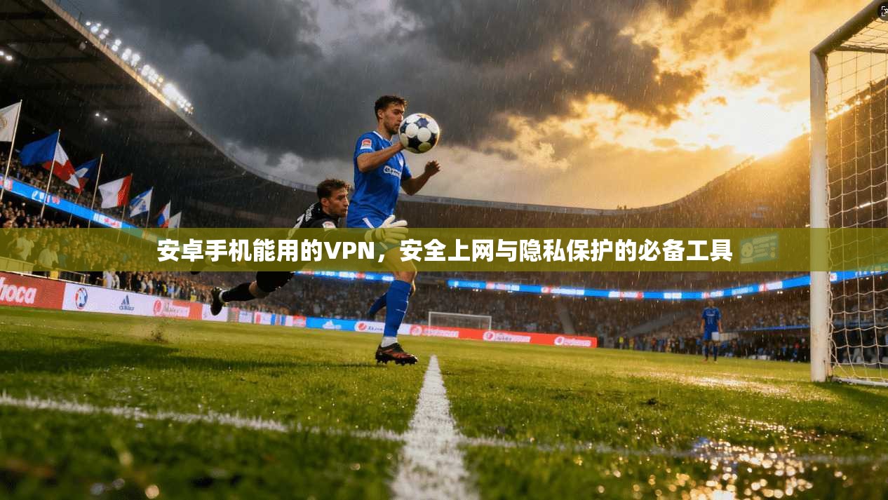 安卓手机能用的VPN，安全上网与隐私保护的必备工具