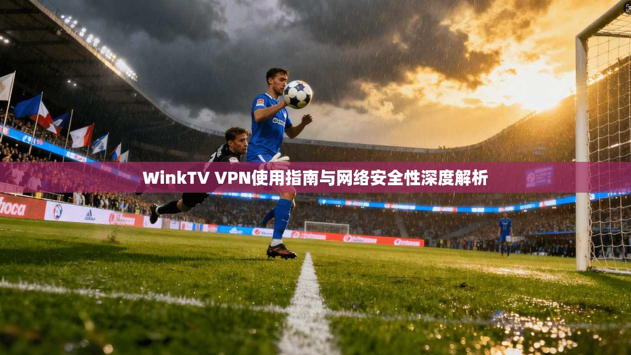 WinkTV VPN使用指南与网络安全性深度解析