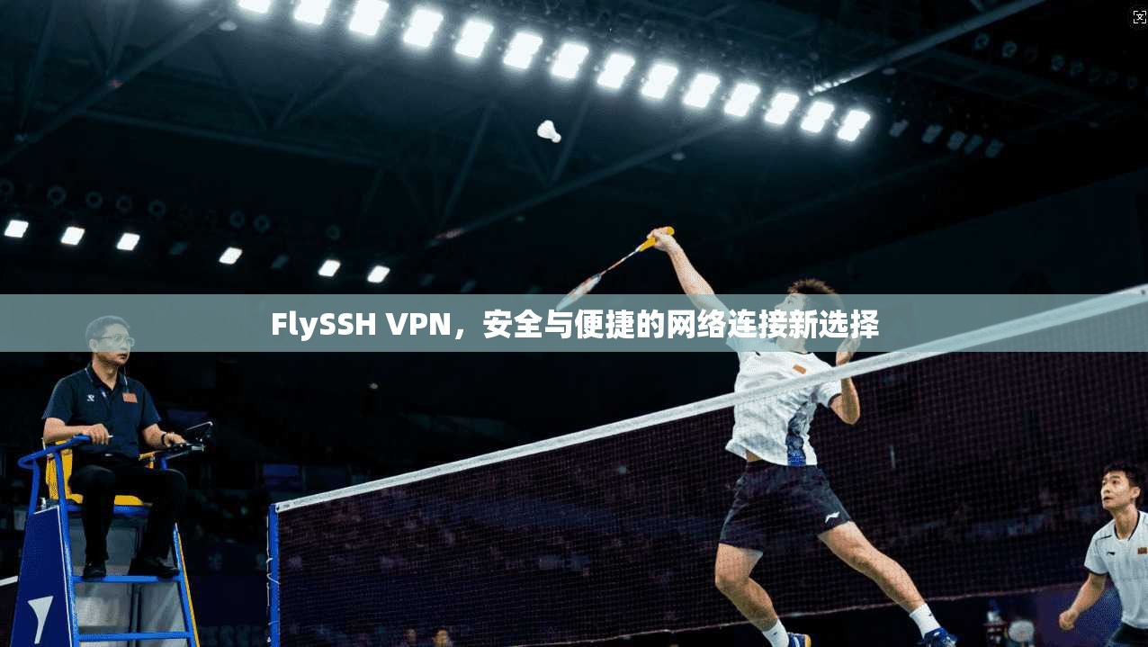 FlySSH VPN，安全与便捷的网络连接新选择