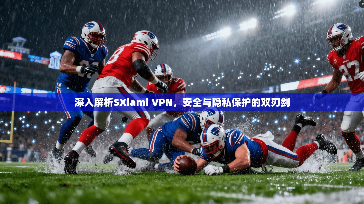 深入解析SXiami VPN，安全与隐私保护的双刃剑
