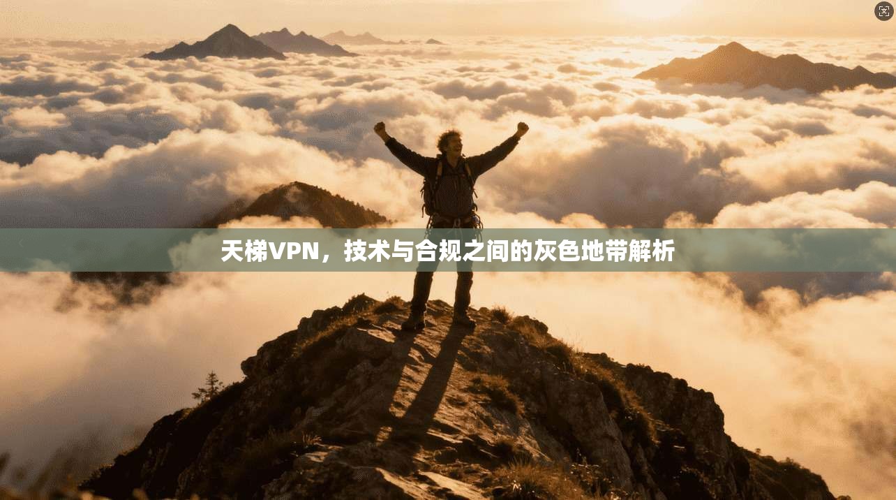 天梯VPN，技术与合规之间的灰色地带解析