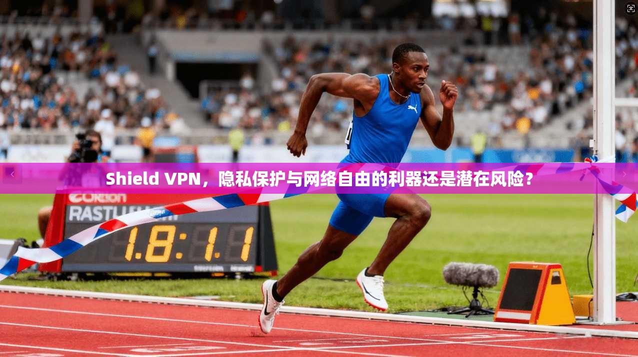 Shield VPN，隐私保护与网络自由的利器还是潜在风险？