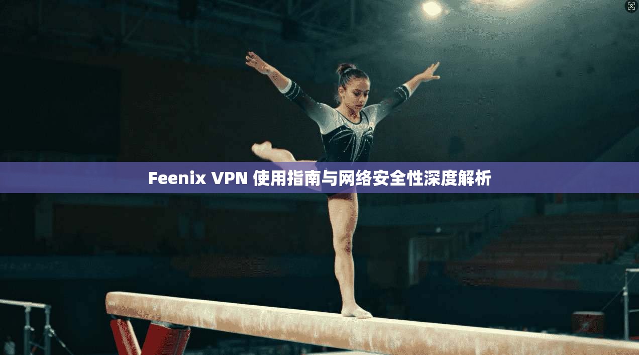 Feenix VPN 使用指南与网络安全性深度解析