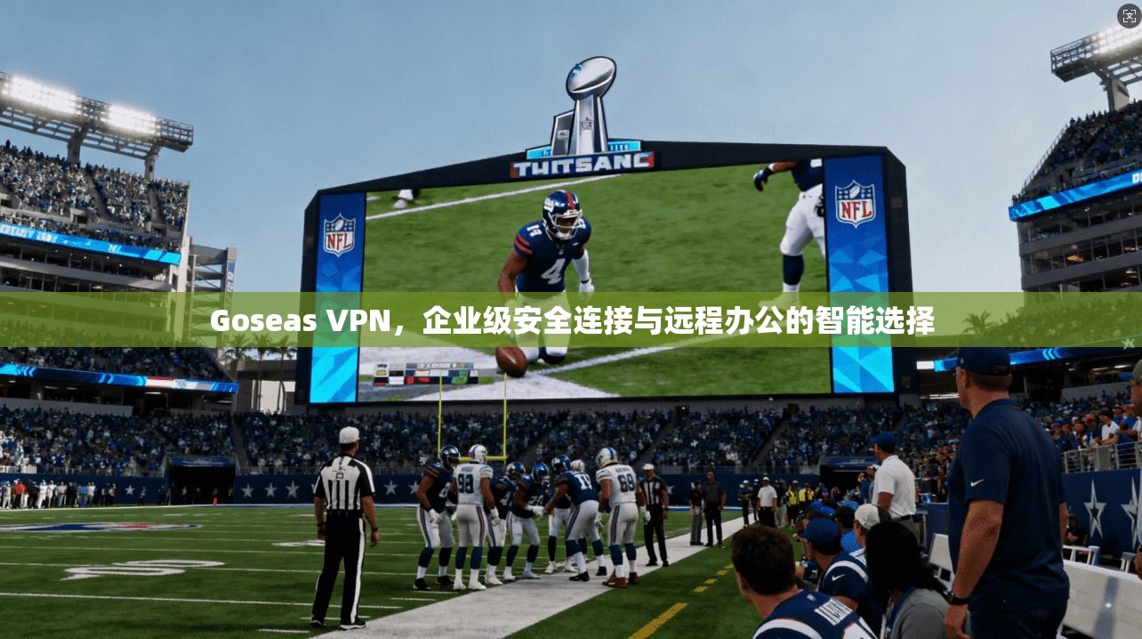 Goseas VPN，企业级安全连接与远程办公的智能选择