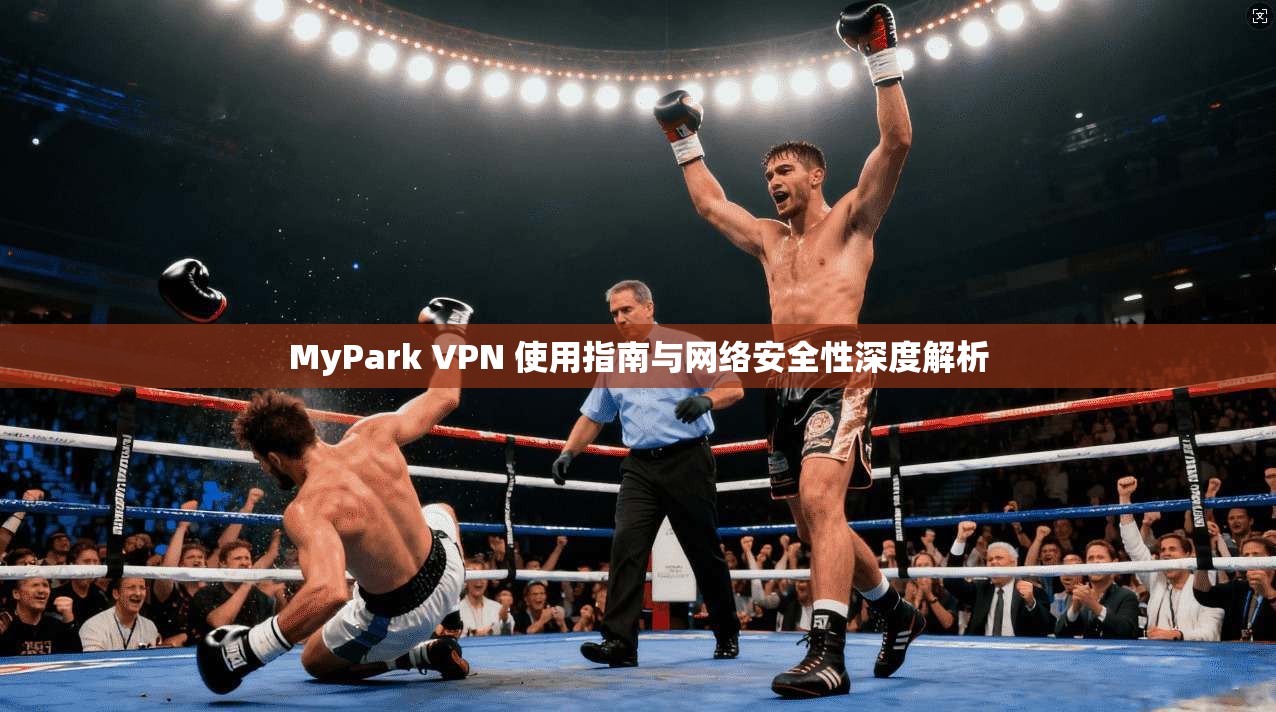 MyPark VPN 使用指南与网络安全性深度解析