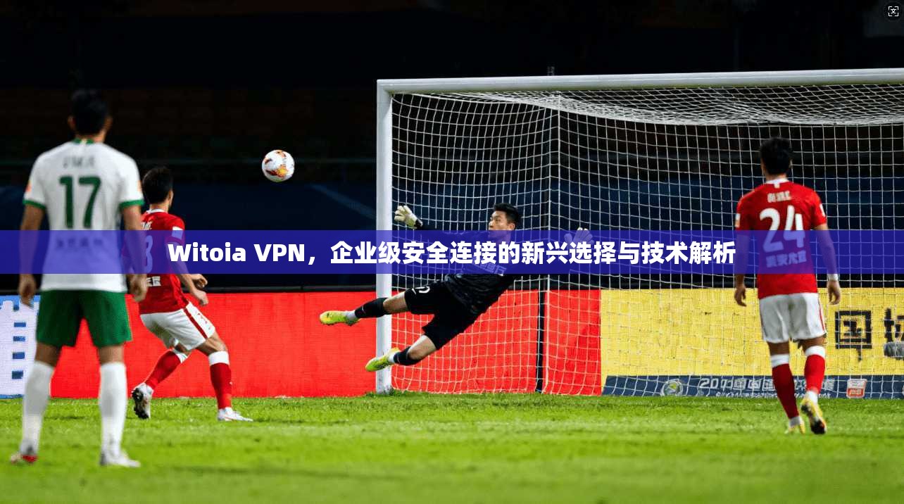 Witoia VPN，企业级安全连接的新兴选择与技术解析