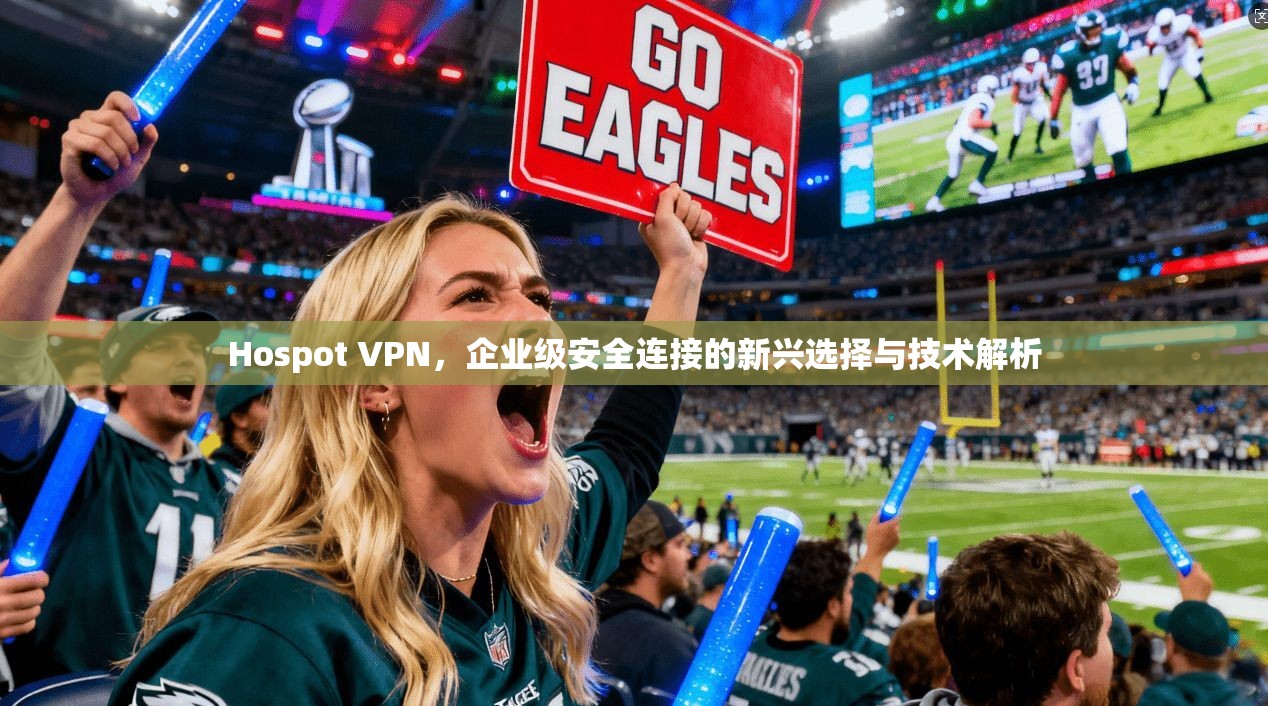 Hospot VPN，企业级安全连接的新兴选择与技术解析