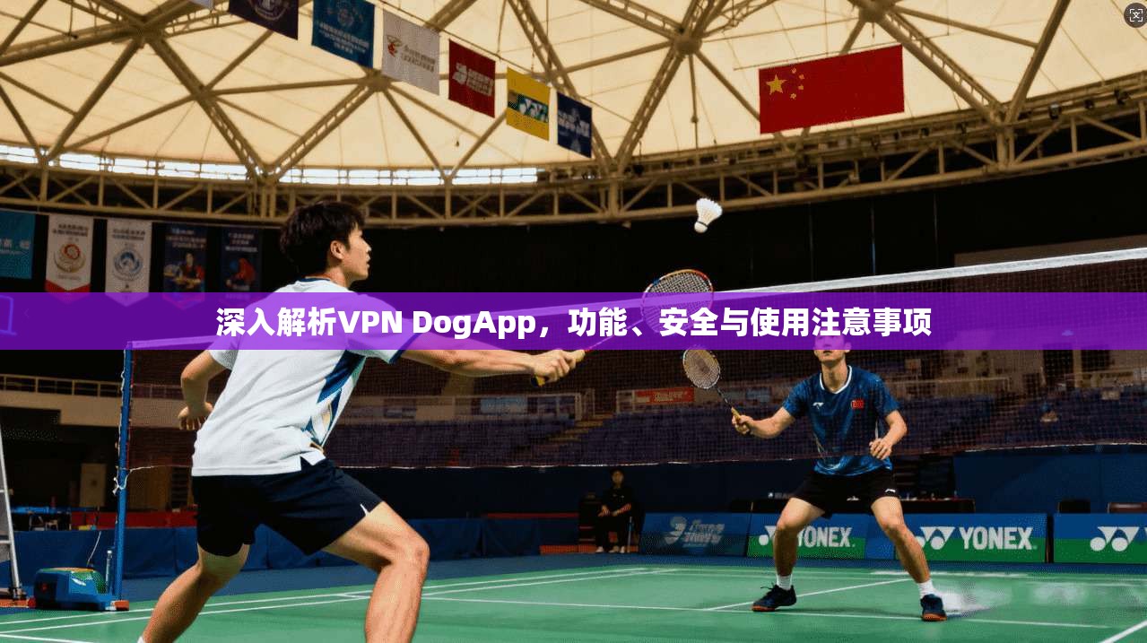 深入解析VPN DogApp，功能、安全与使用注意事项