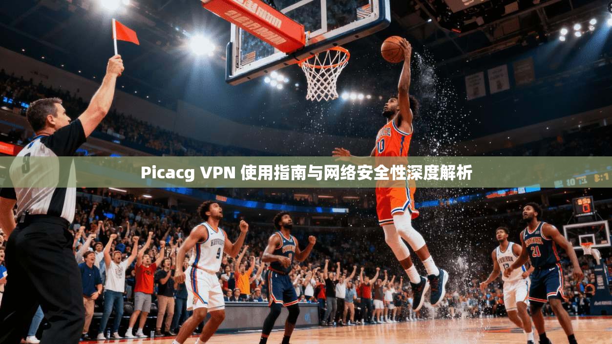 Picacg VPN 使用指南与网络安全性深度解析