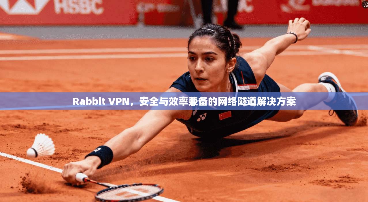 Rabbit VPN，安全与效率兼备的网络隧道解决方案