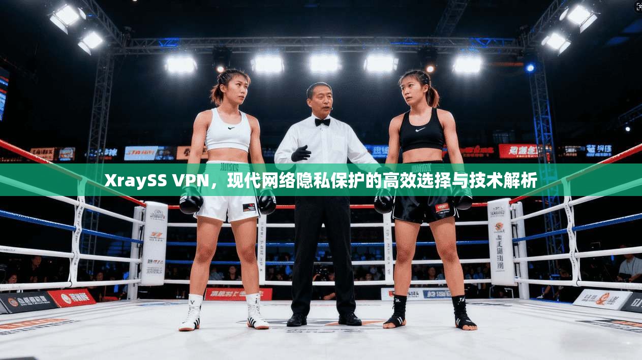 XraySS VPN，现代网络隐私保护的高效选择与技术解析