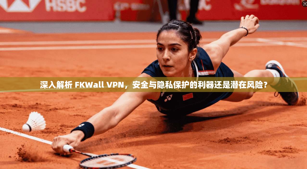 深入解析 FKWall VPN，安全与隐私保护的利器还是潜在风险？