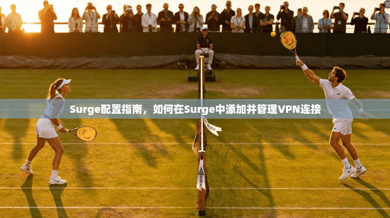 Surge配置指南,如何在Surge中添加并管理VPN连接
