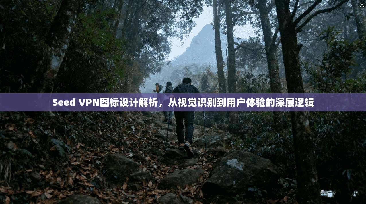 Seed VPN图标设计解析，从视觉识别到用户体验的深层逻辑