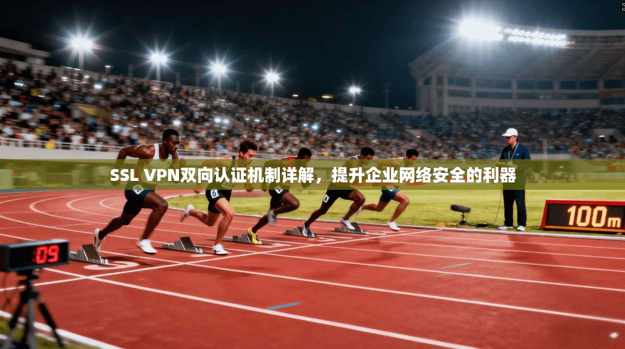 SSL VPN双向认证机制详解，提升企业网络安全的利器