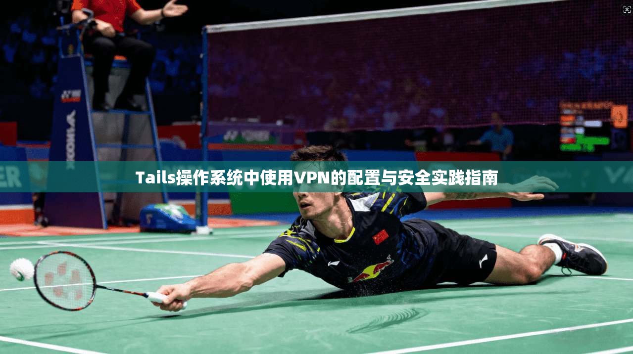 Tails操作系统中使用VPN的配置与安全实践指南