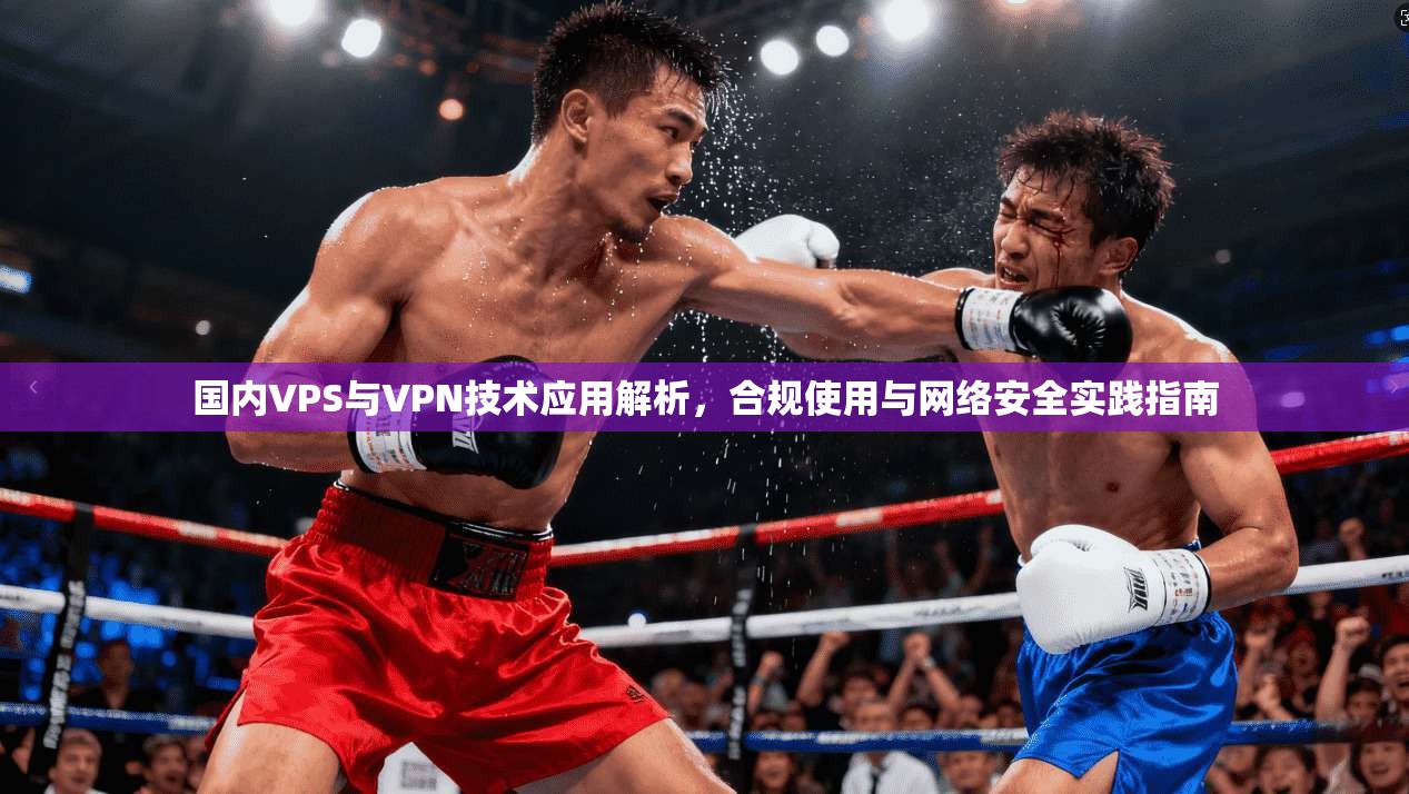 国内VPS与VPN技术应用解析，合规使用与网络安全实践指南