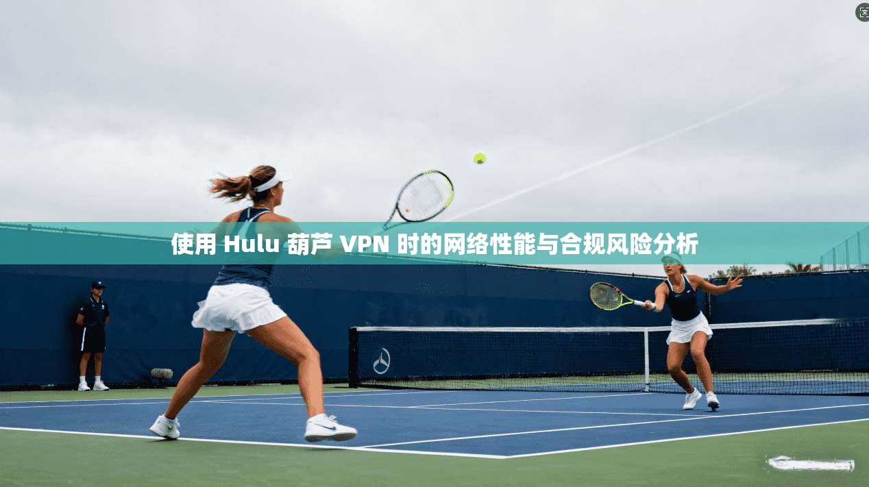 使用 Hulu 葫芦 VPN 时的网络性能与合规风险分析