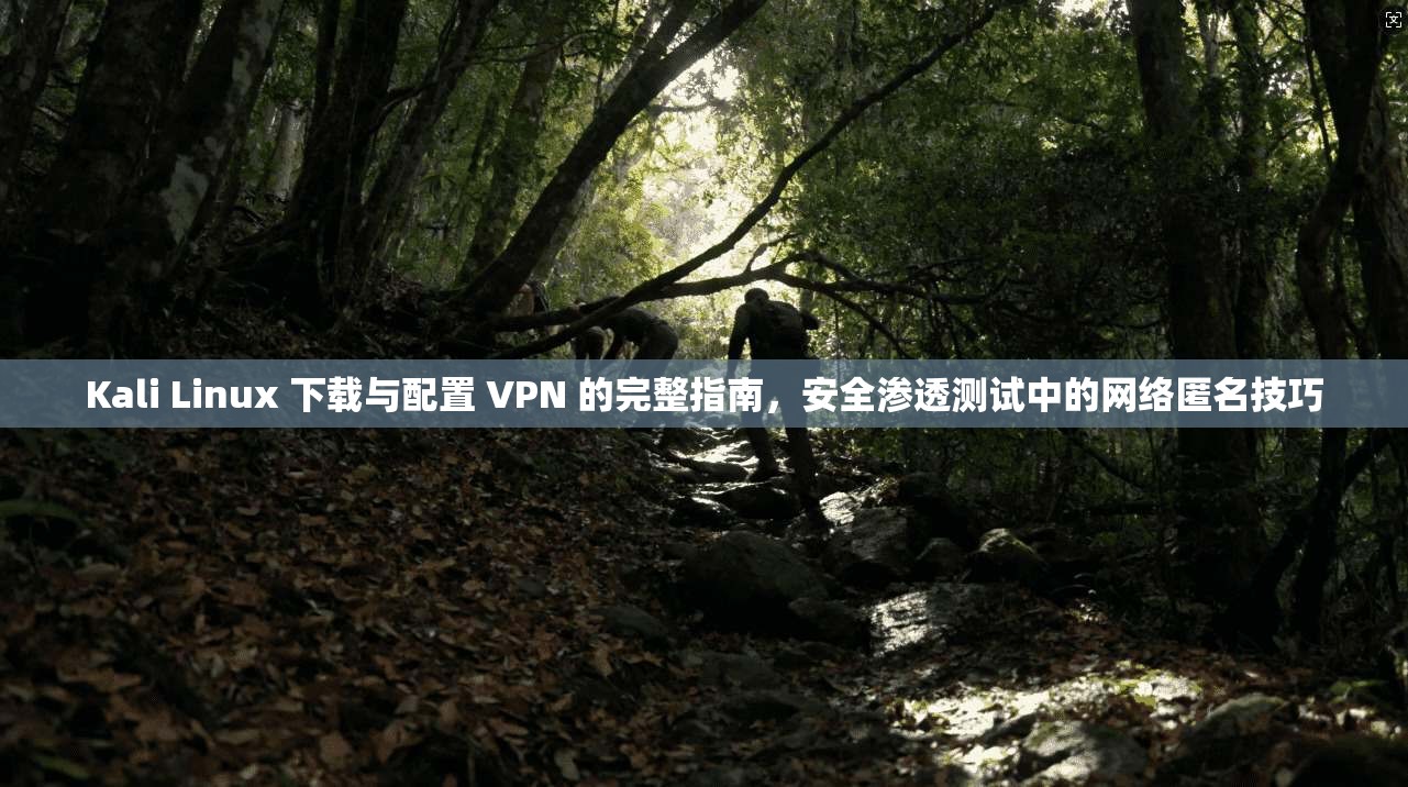 Kali Linux 下载与配置 VPN 的完整指南，安全渗透测试中的网络匿名技巧