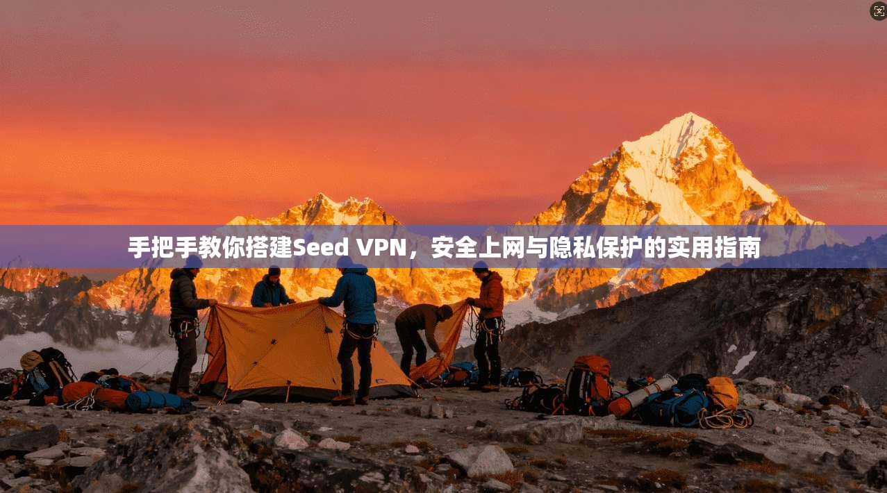 手把手教你搭建Seed VPN，安全上网与隐私保护的实用指南