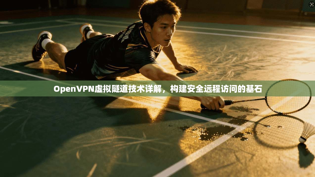 OpenVPN虚拟隧道技术详解，构建安全远程访问的基石