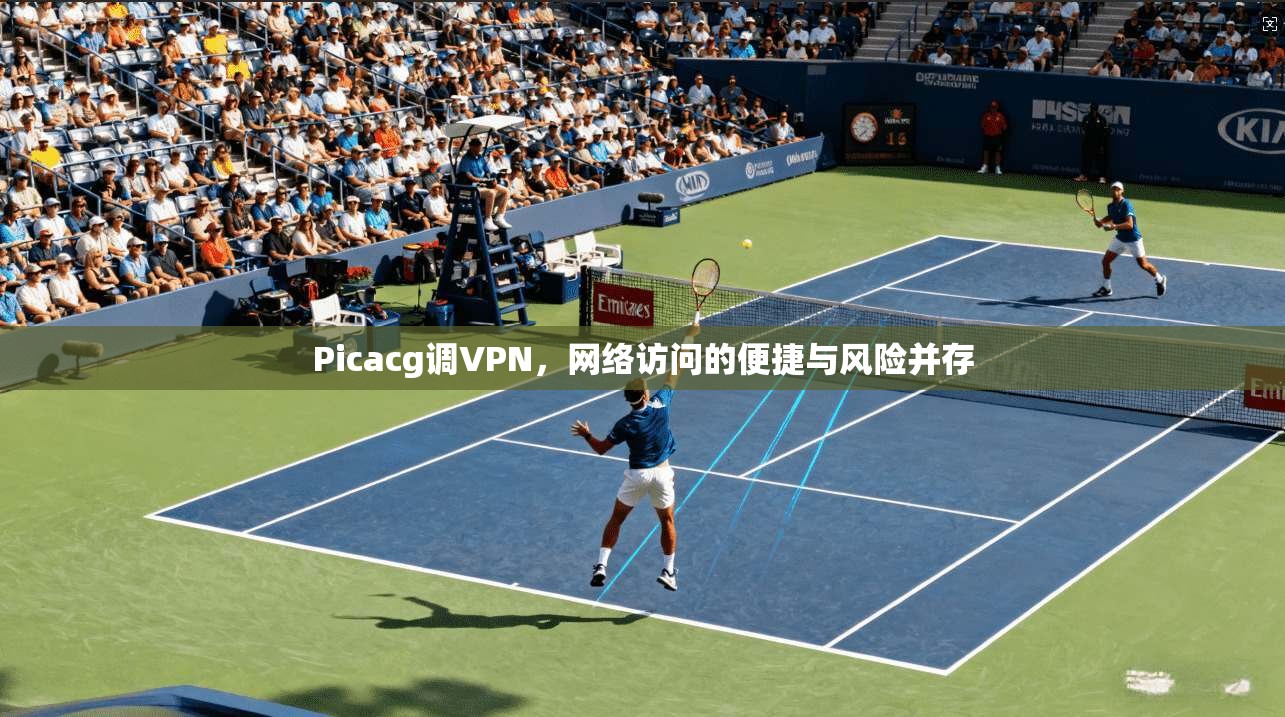 Picacg调VPN，网络访问的便捷与风险并存