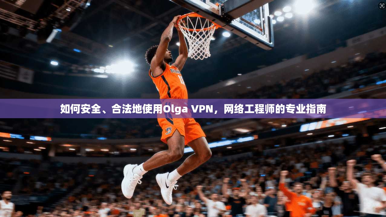 如何安全、合法地使用Olga VPN，网络工程师的专业指南