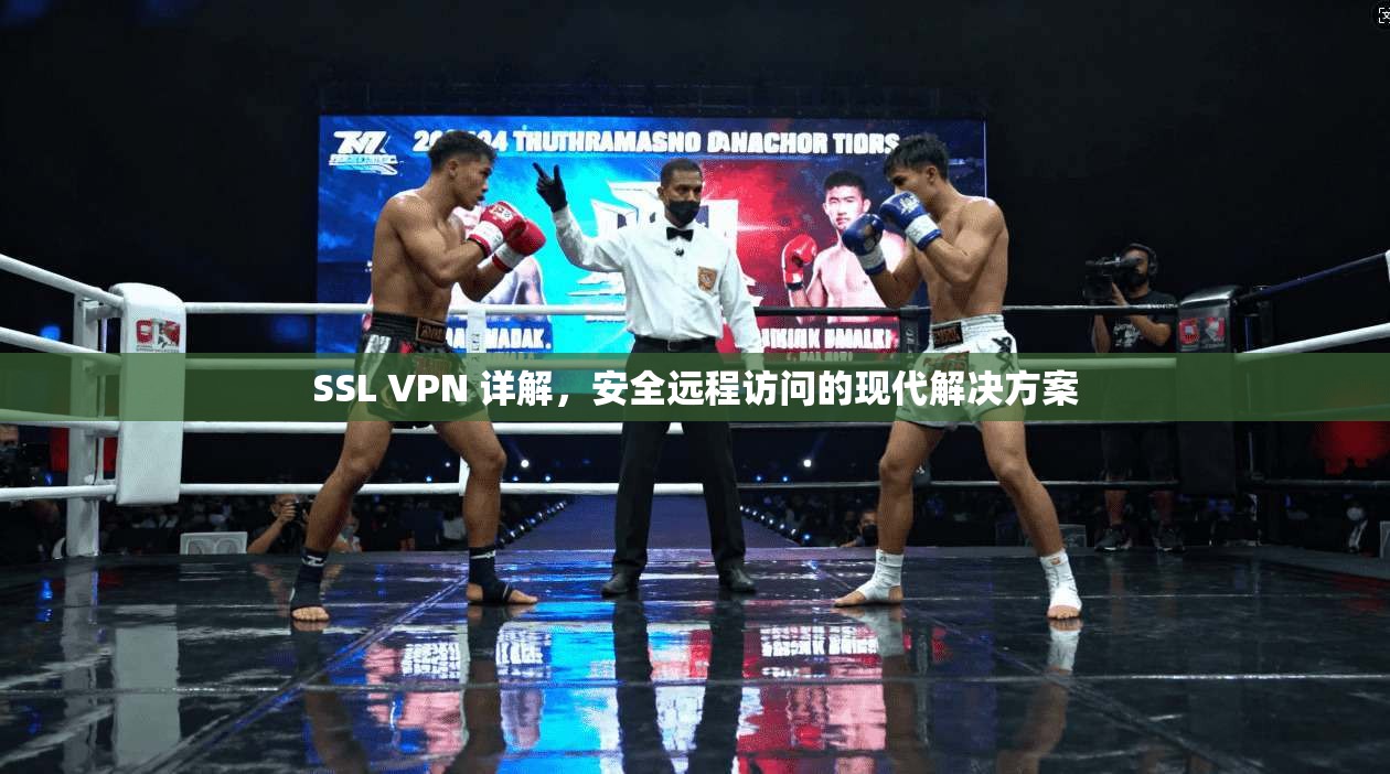 SSL VPN 详解，安全远程访问的现代解决方案