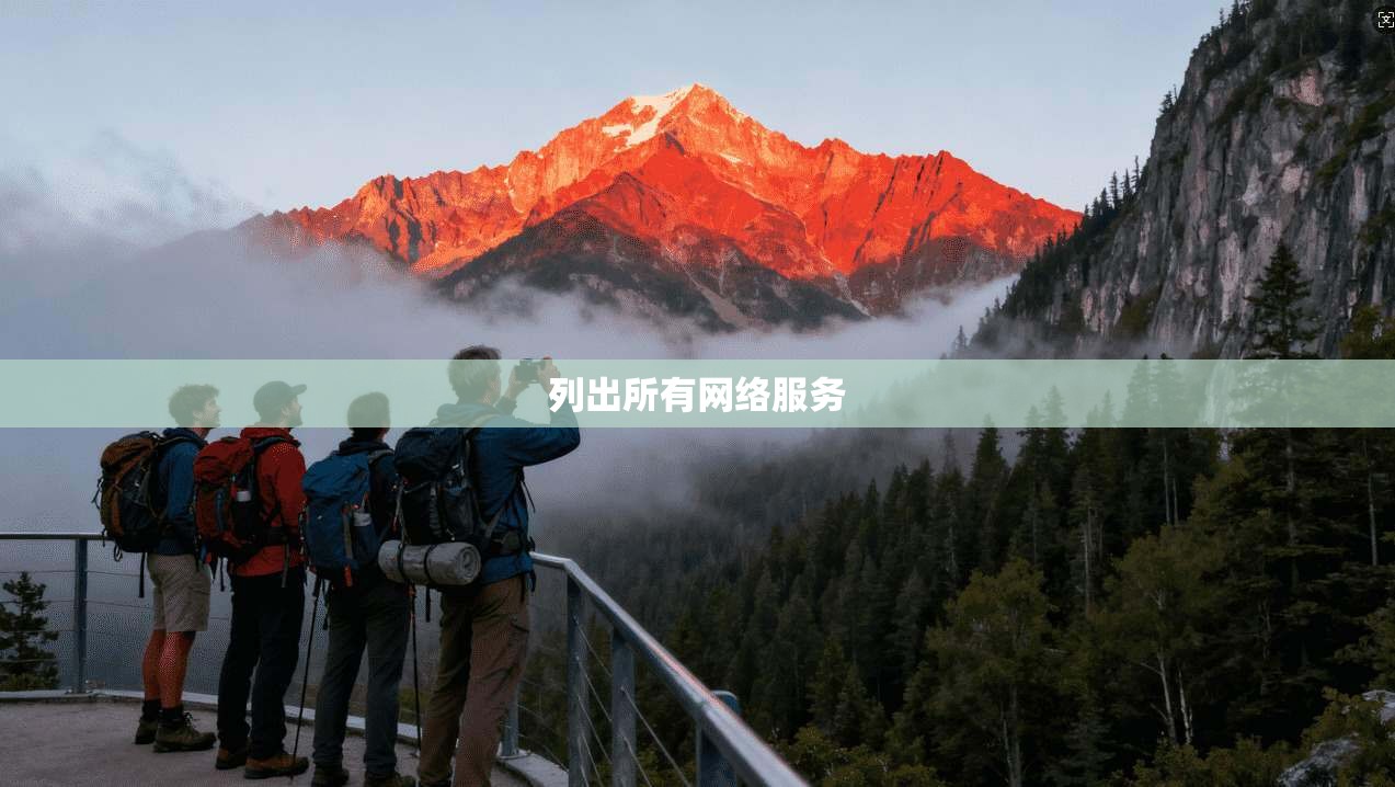 列出所有网络服务