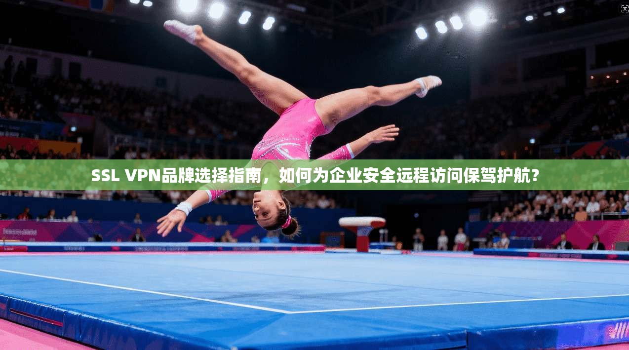 SSL VPN品牌选择指南，如何为企业安全远程访问保驾护航？