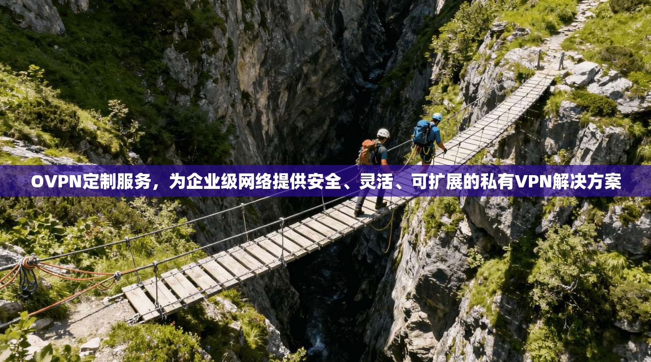 OVPN定制服务，为企业级网络提供安全、灵活、可扩展的私有VPN解决方案