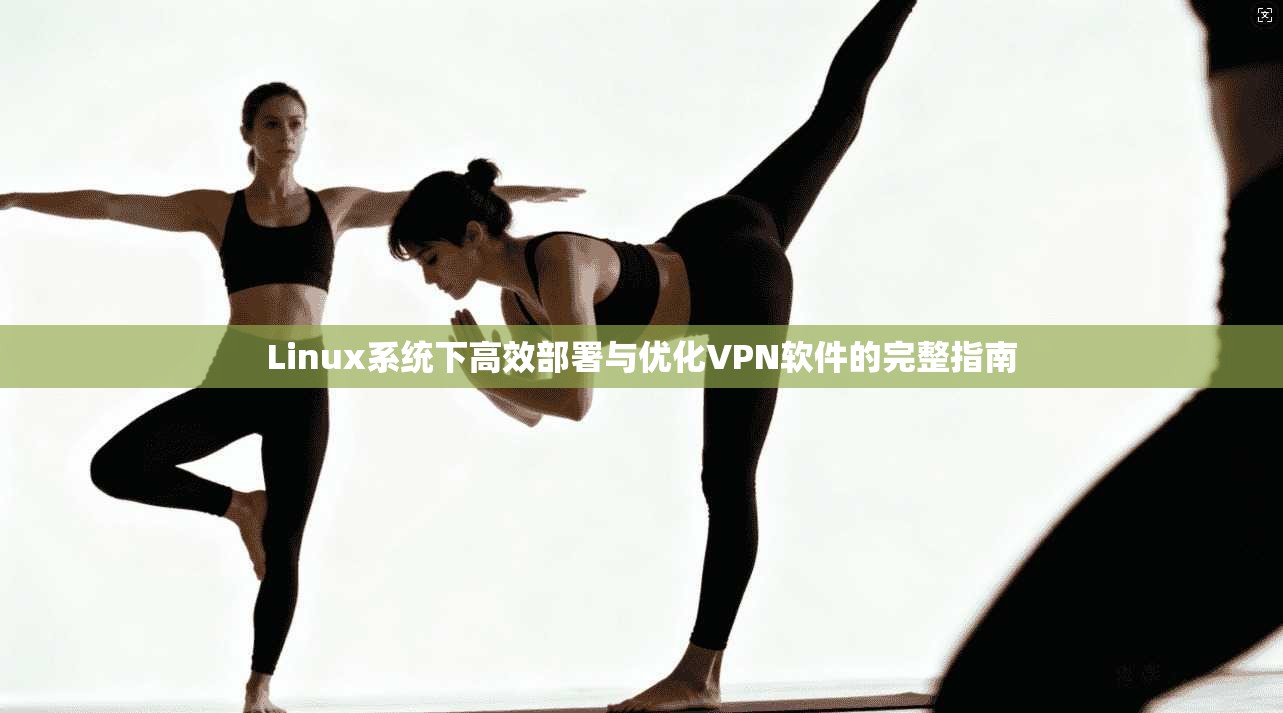 Linux系统下高效部署与优化VPN软件的完整指南